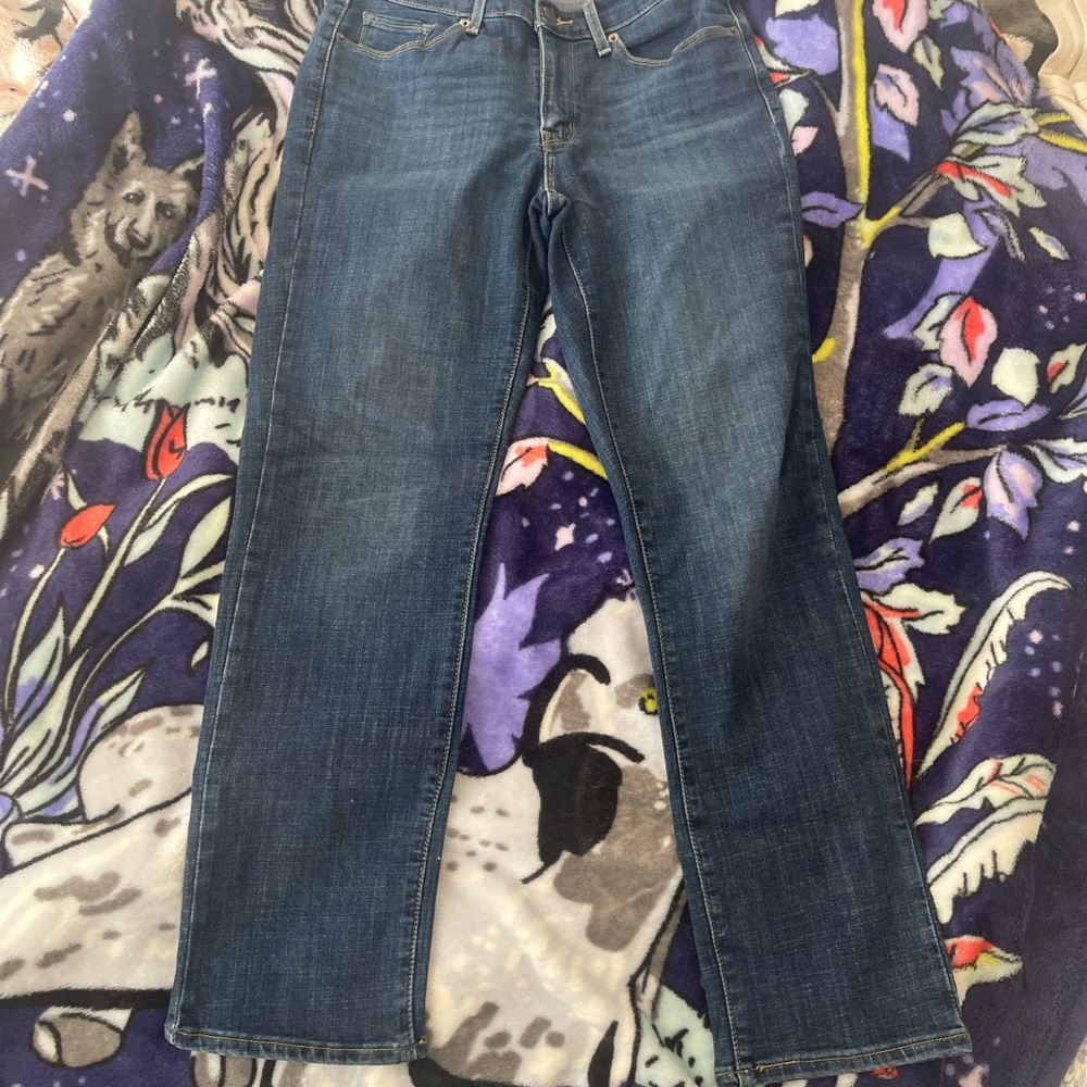 Levi’s Classic Straight Blue Denim Jeans
